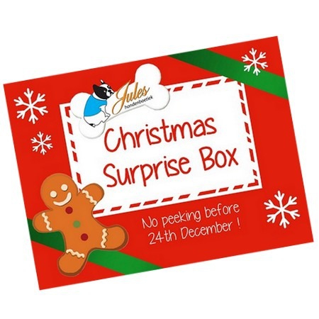 Kerst Surprise box voor honden