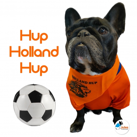 Oranje Voetbal kleding, Oranje hondenshirt